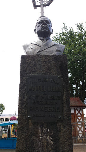Busto de Manoel Ribas