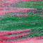 Cabbage tree leaf