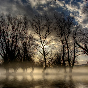Scary forest by Boris Frković - Landscapes Waterscapes ( clouds, scary, tree, fog, forest, lake )