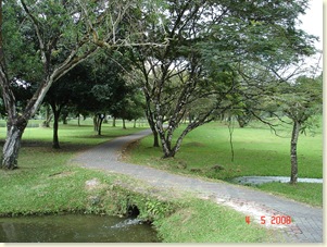 Pic 045