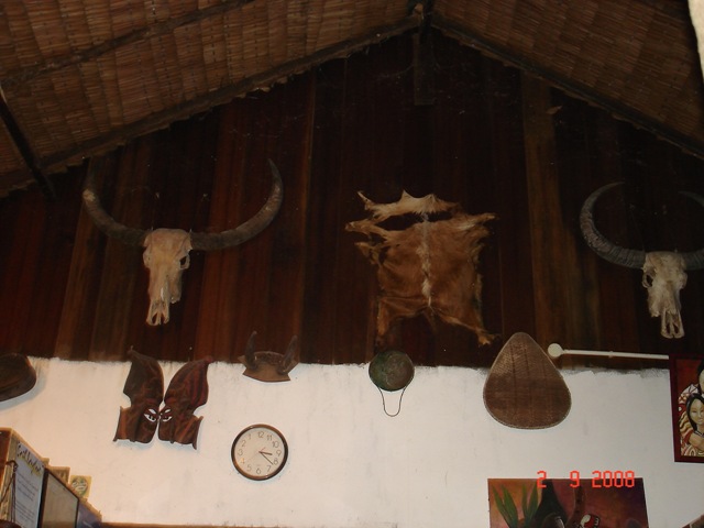 [DSC044813.jpg]