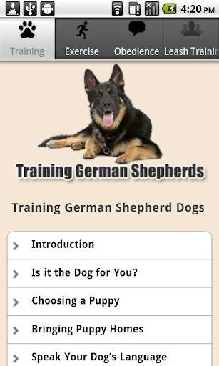 Training German Shepherds