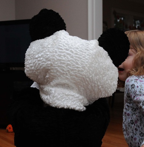 [panda_back[3].jpg]