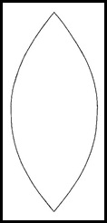 apple_section