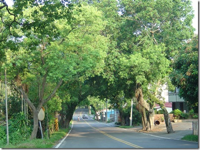 DSC07526