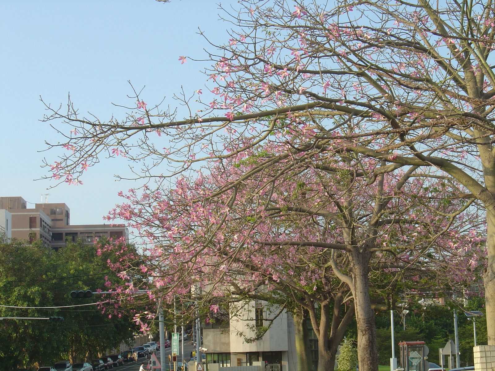 [DSC07563.jpg]
