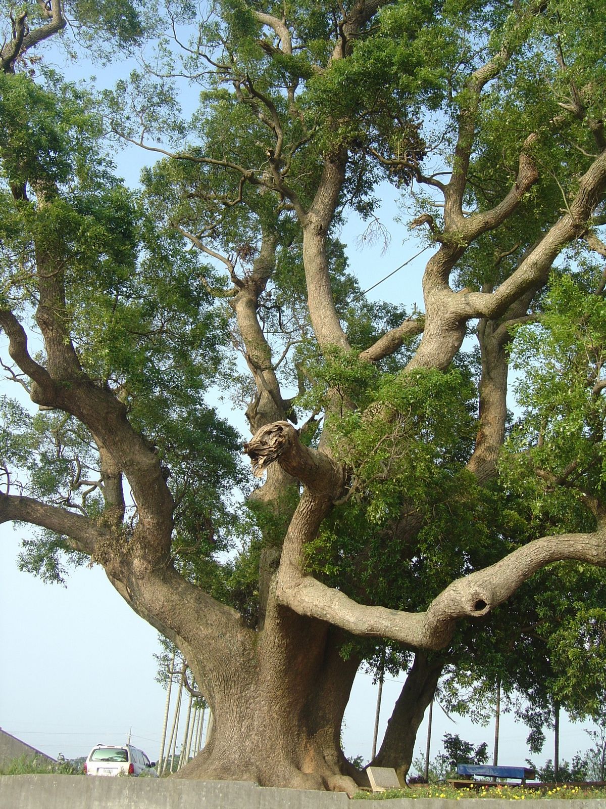 [DSC07551.JPG]