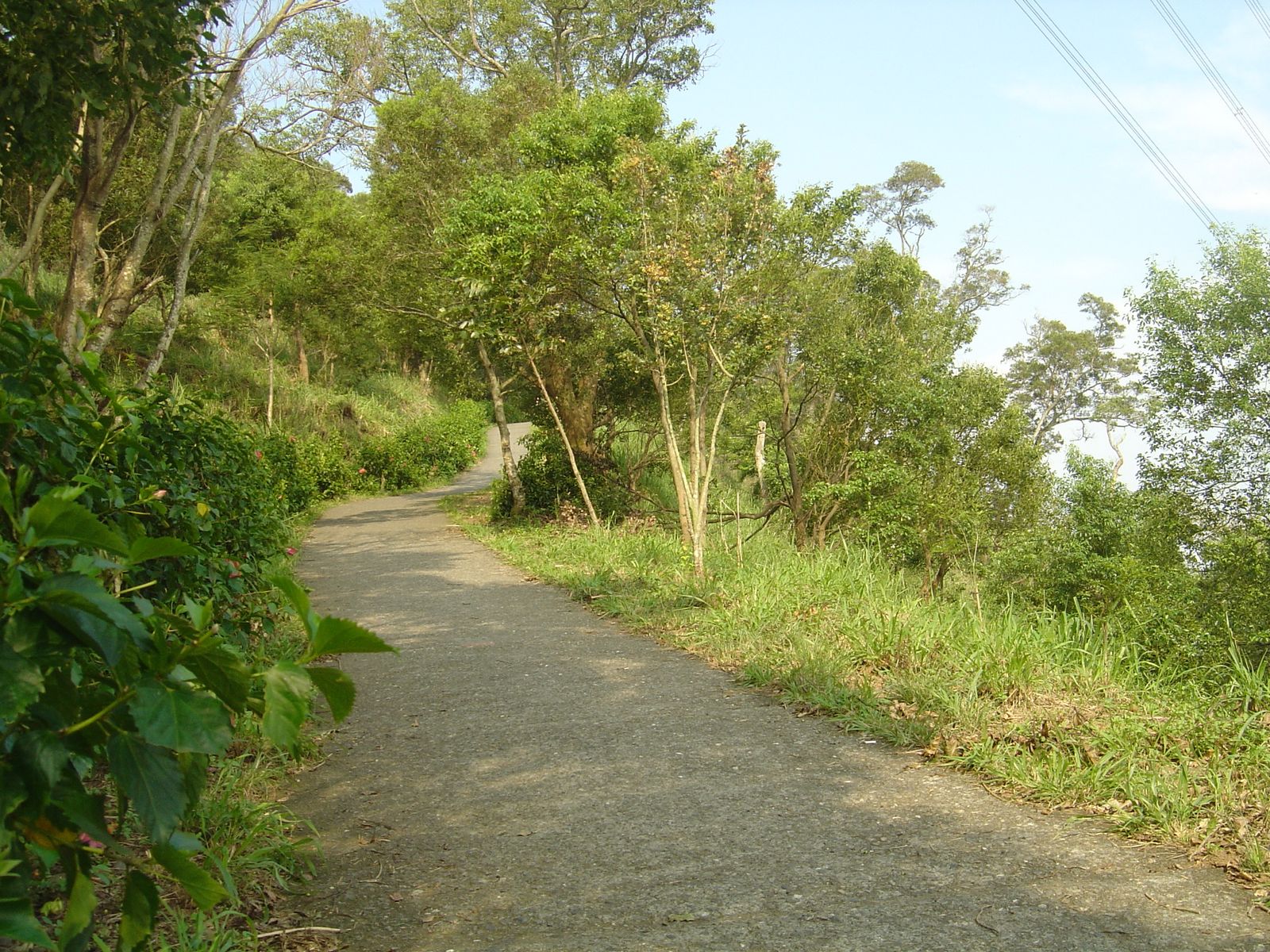 [DSC07511.jpg]