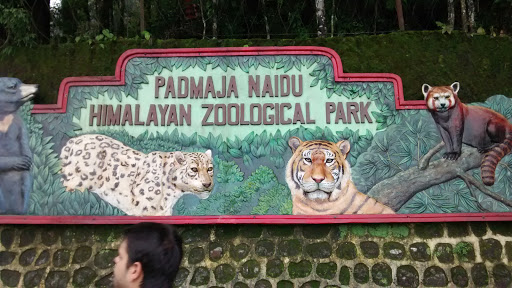 Padmaja Naidu Himalayan Zoological Park Graffiti