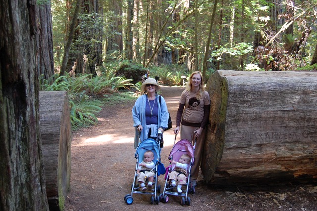 [August 2007 410[2].jpg]