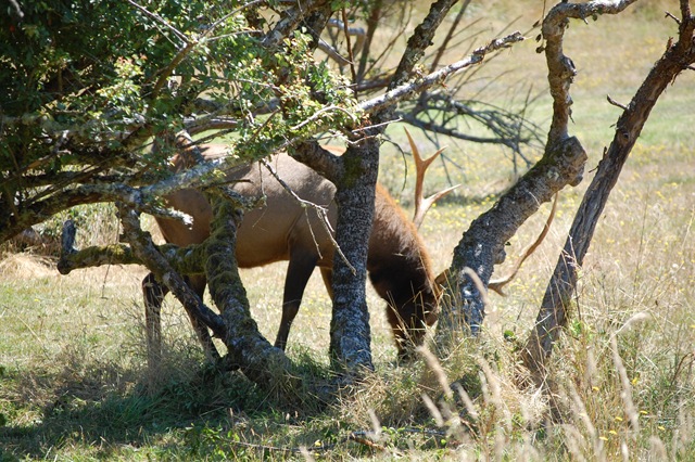 [August 2007 603[2].jpg]