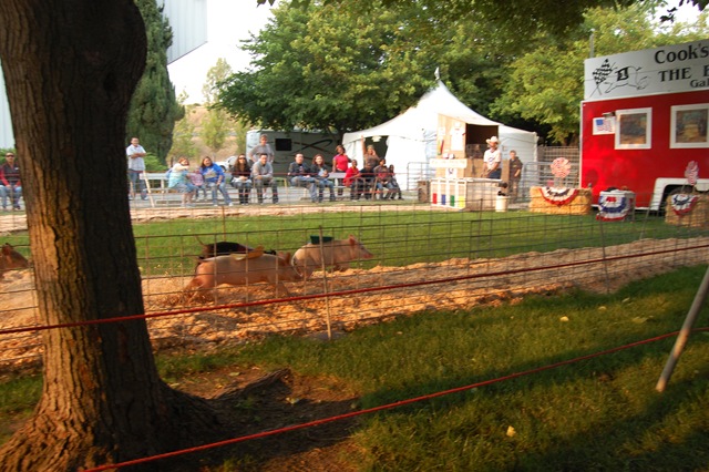 [July 2008 253[3].jpg]