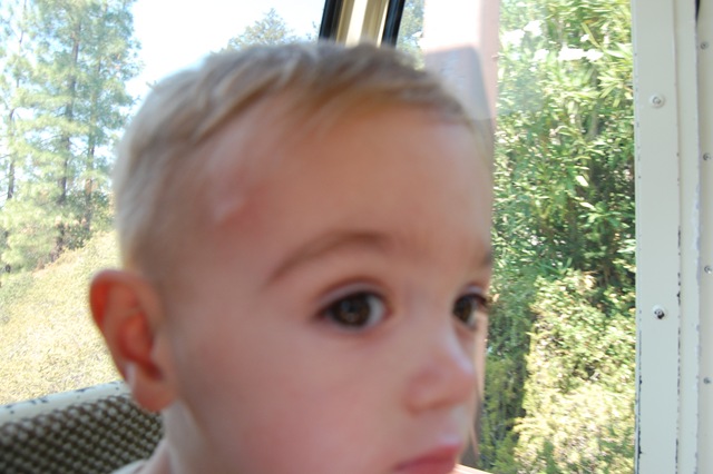 [September20080823.jpg]