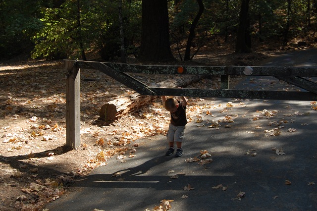 [September 2008 129[3].jpg]