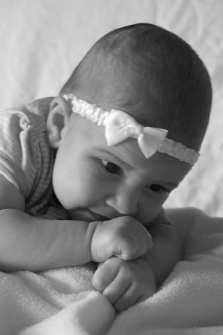 [DSC_8554b3.jpg]