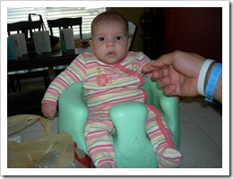 11 weeks 015