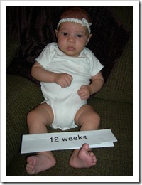 12 weeks 020
