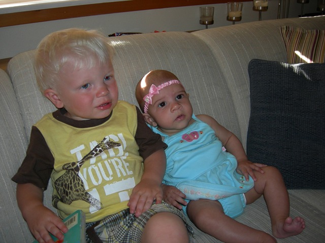 [17wks0113.jpg]