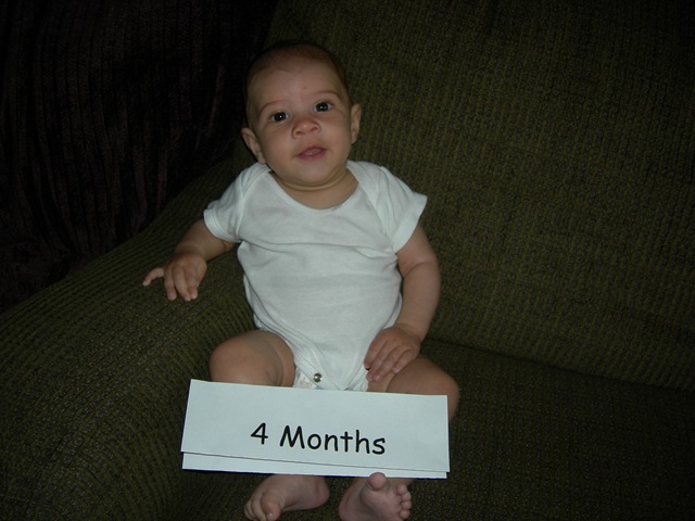 [18wks0023.jpg]