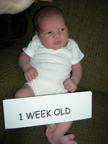 [1 wk old 012[3].jpg]