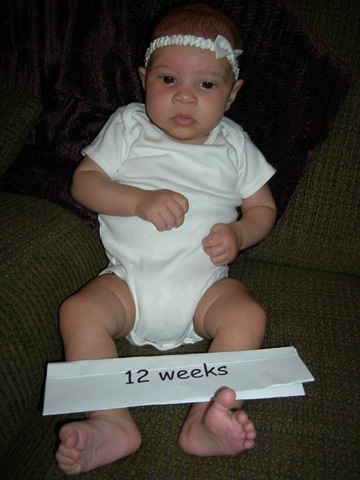 [12 weeks 020[3].jpg]
