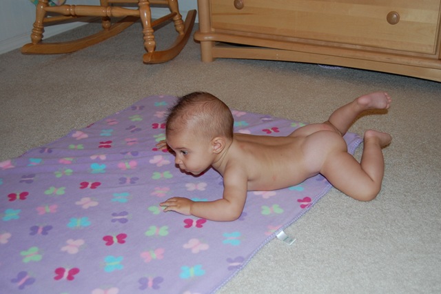 [Crawling0083.jpg]
