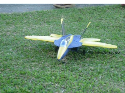[rcplane2[3].jpg]