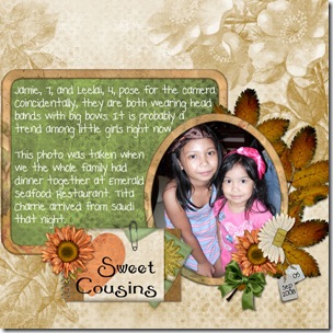 cousins08_600