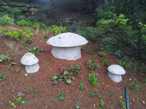 Stoned Mushrooms.