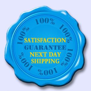 next day shipping