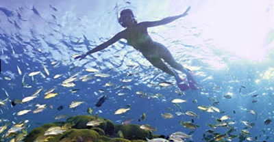 snorkel