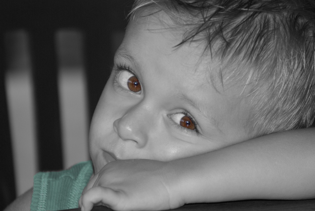 [DSC00260 ka[2].jpg]