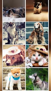 How to get Moe Wallpaper - Kitty & Doggy 1.0.0 mod apk for laptop