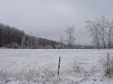 DSC08228.JPG