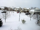 021407 Import 215.JPG