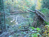 DSC07975.JPG
