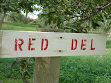 DSC09499.JPG