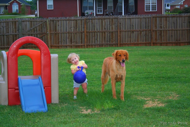 [20080815 - Savannah In Back Yard (32)[22].jpg]
