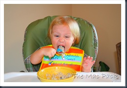 Savannah Eating Her Oatmeal 
