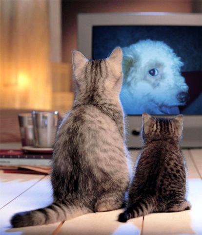 [PhotoFunia_2d18[3].jpg]