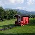 DSCF2446.jpg