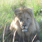 South Africa