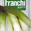 Leek 'Porro di Delft'