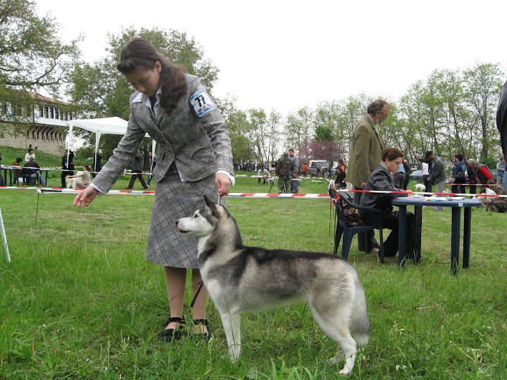 Качена снимка