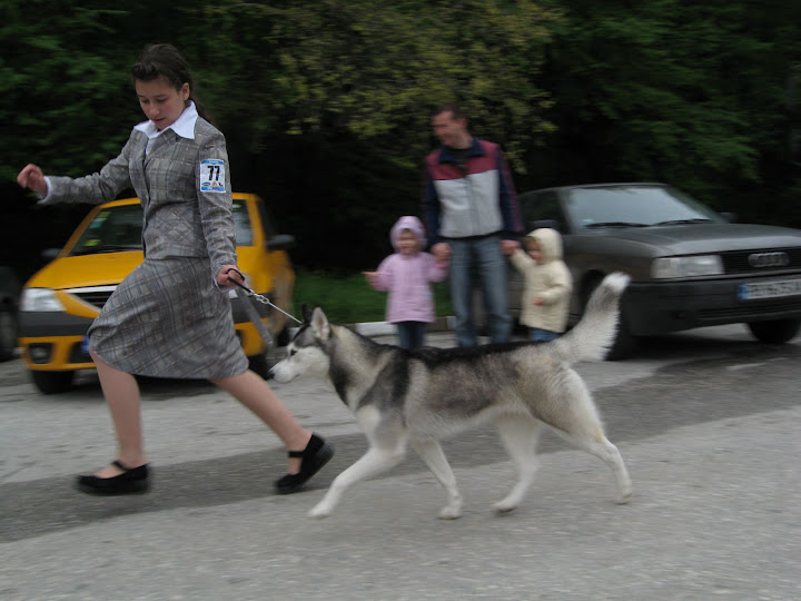 Качена снимка