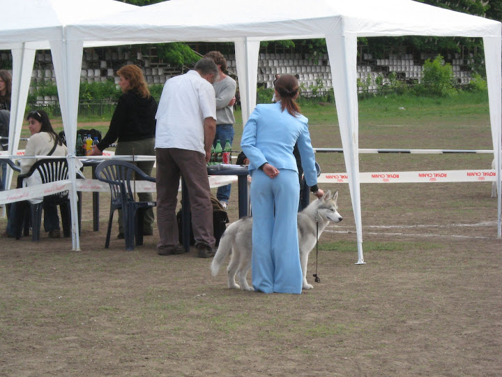 Качена снимка