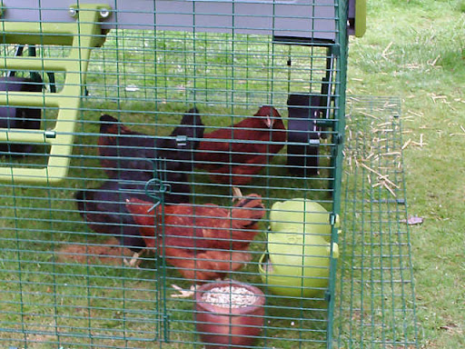 pict0115a.jpg?imgmax=512