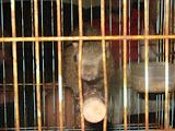 IMG_4755.JPG