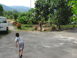 IMG_4373.JPG