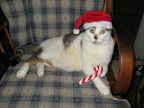 IMG_2403.JPG